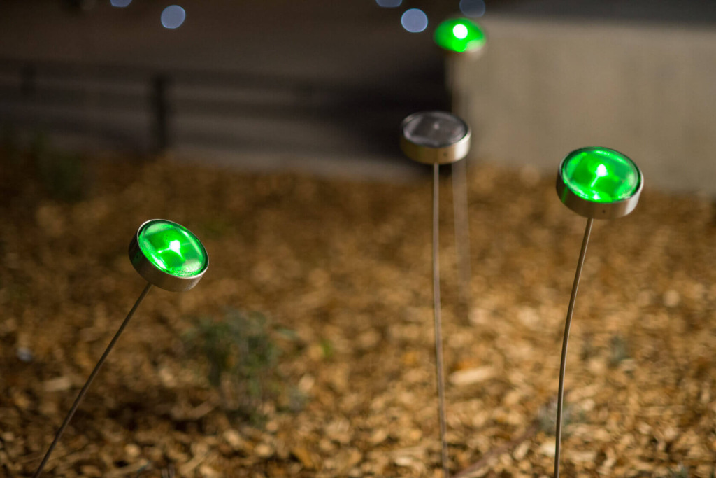 Mise en valeur d’un parc urbain